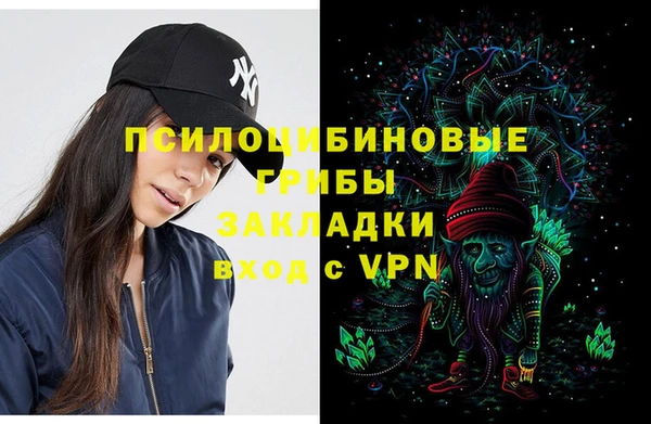 мдпв Алзамай