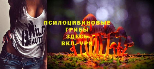 экстази Алексеевка