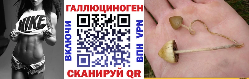 Псилоцибиновые грибы MAGIC MUSHROOMS  дарнет шоп  kraken рабочий сайт  Октябрьск 